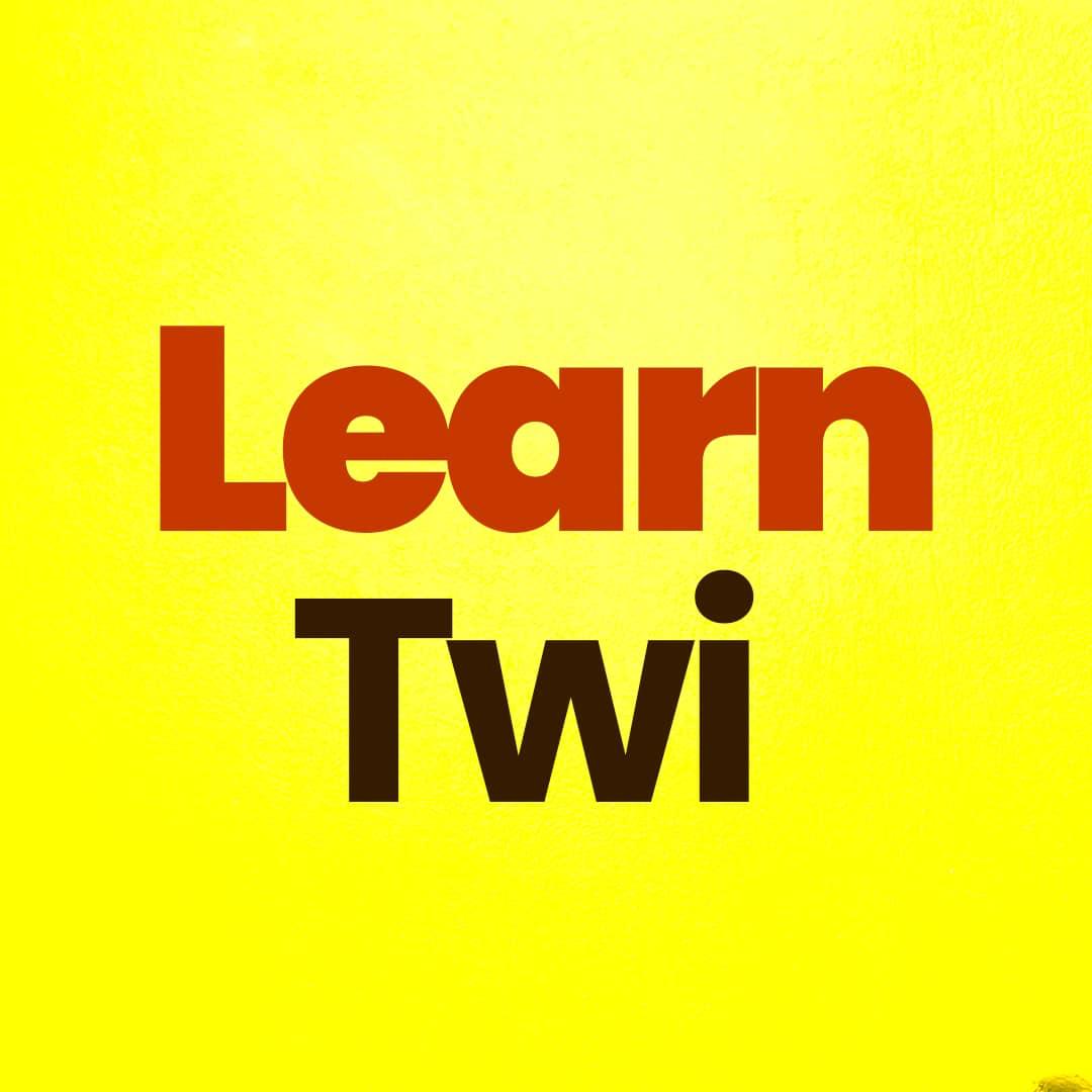 Learn Twi logo